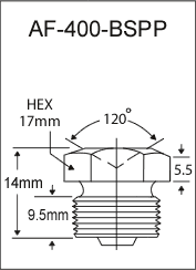 3/8"-19 BSPP Flush Fitting