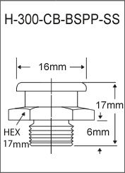 1/4"-19 BSPP Stainless Steel Fitting